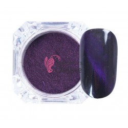 Pigment pentru unghii NADP001EE Amelie cu pulbere de magnet 2gr 